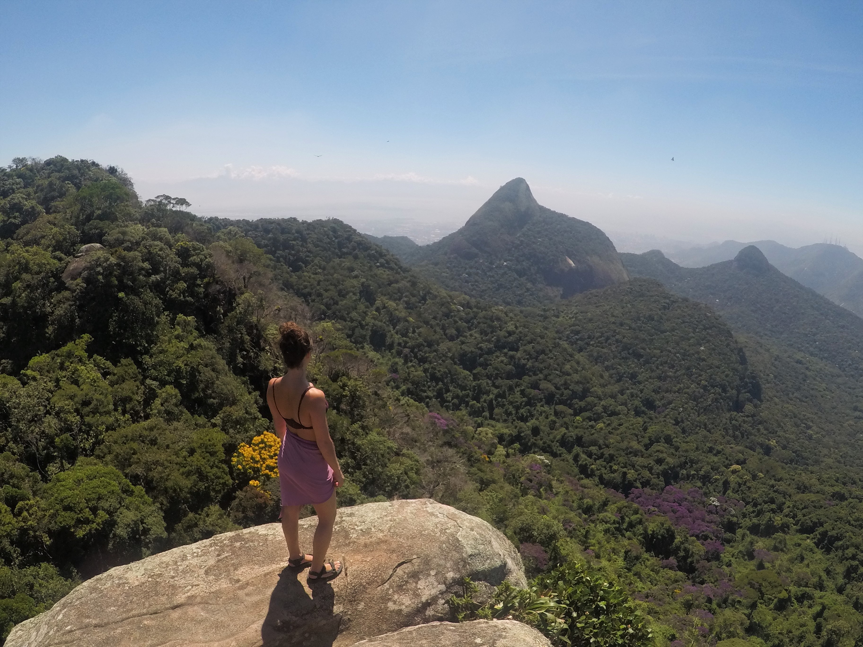 View from Tijuca Forest | Ultimate Guide to Rio