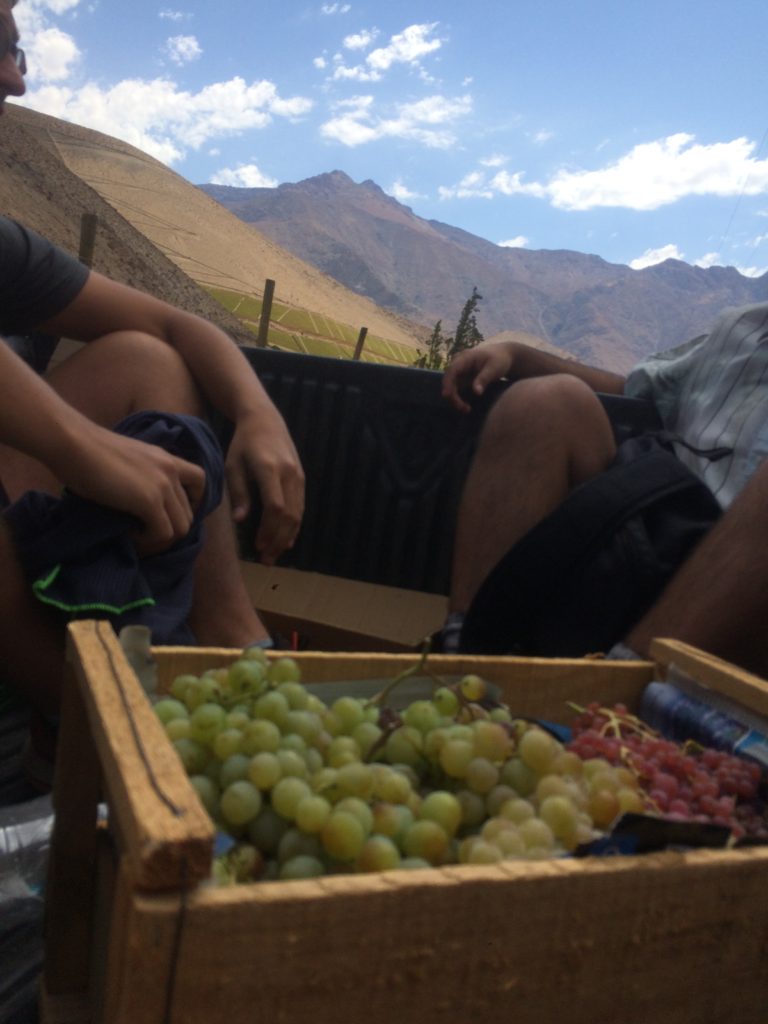 Hitchhiking | Wandering the Mystical Valley of Elqui, Chile