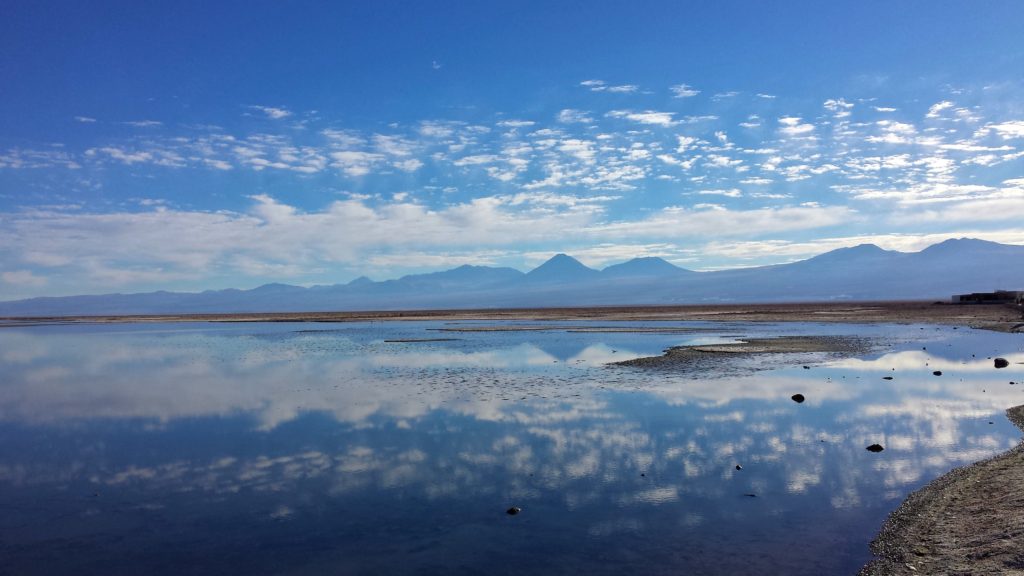 Lagoons | Make the Most of the Atacama Desert (San Pedro)