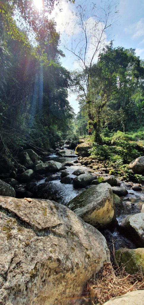 Jungle lovin - Paraty