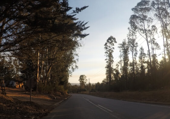 Chilean Highway | I Once Mistakenly Participated in the Annual Pilgrimage in Chile