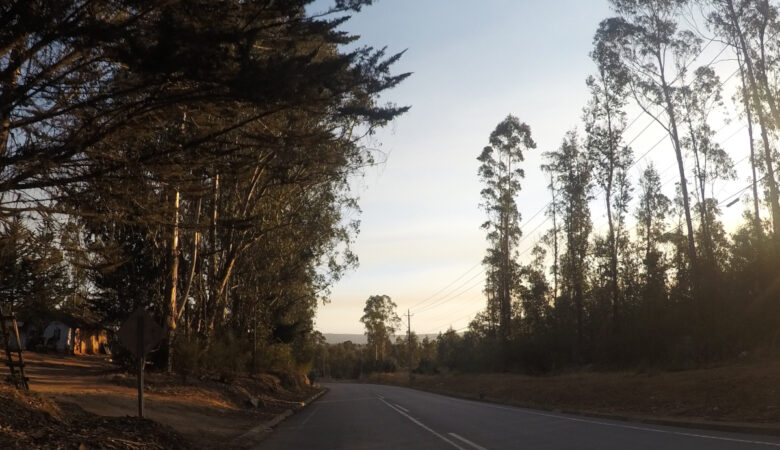 Chilean Highway | I Once Mistakenly Participated in the Annual Pilgrimage in Chile