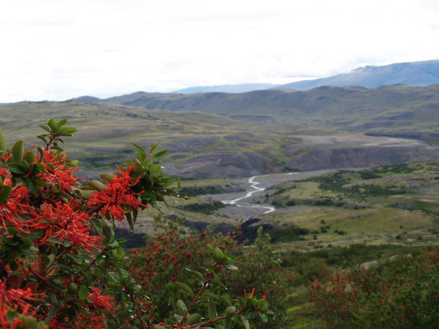 Looking over Torres del Paine, The W Trail | Hiker's Guide to Torres del Paine | Grounds for Movement