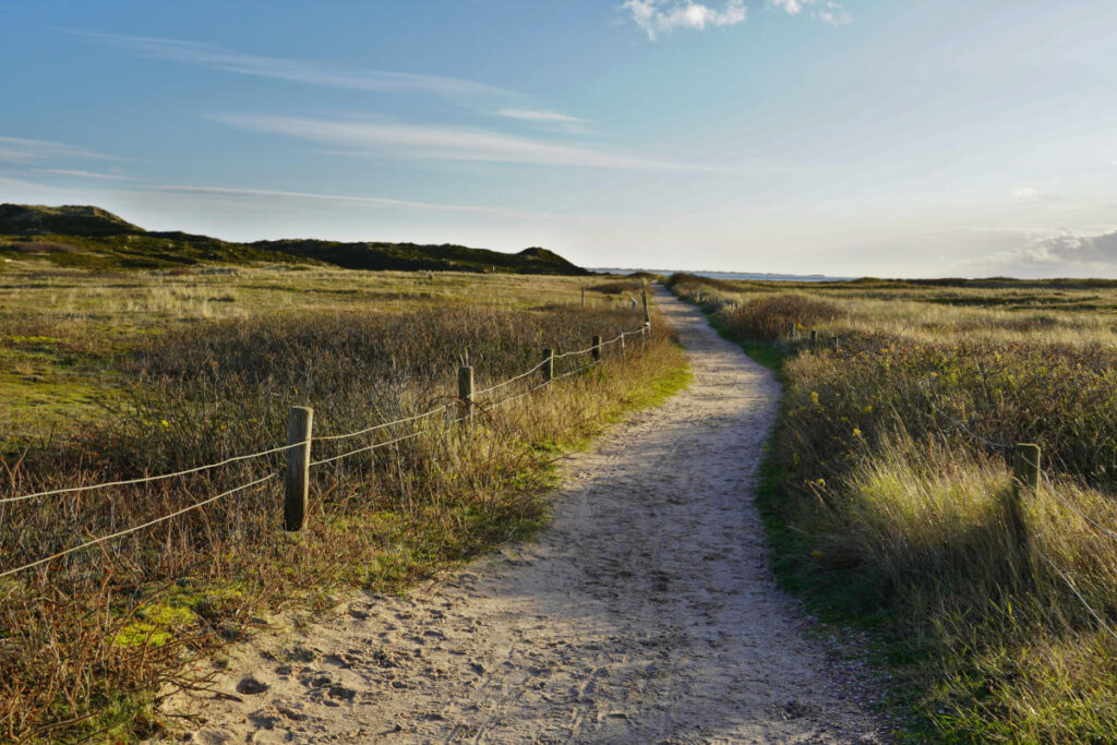 Sylt - the Hawaii of Germany | 